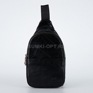  F.Molinary blk   _Y
