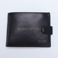  F.Molinary black  _Y