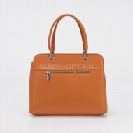  P.Avanti camel .  M